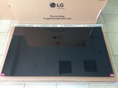 Матрица для телевизора LG OLED65B8 / C8 (EAJ64528401)